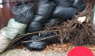 În atenția asociațiilor de proprietari din Cluj-Napoca: Colectare suplimentară a deșeurilor vegetale rezultate în urma activităților de întreținere a 