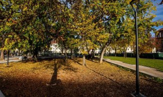 Emil Boc, pe şantierul din Parcul Ștefan cel Mare: "Lucrările sunt într-o ușoară întârziere, dar pot fi finalizate până la sfârșitul anului"