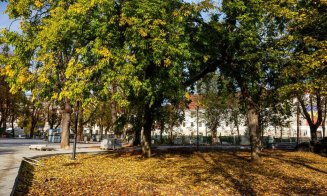 Emil Boc, pe şantierul din Parcul Ștefan cel Mare: "Lucrările sunt într-o ușoară întârziere, dar pot fi finalizate până la sfârșitul anului"
