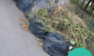 Se strâng resturile vegetale din Cluj-Napoca. Cum trebuie să procedeze asociațiile de proprietari