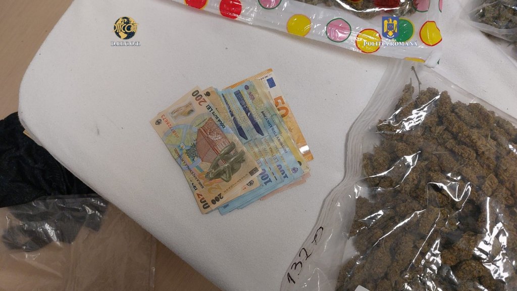 Traficant de droguri, săltat în plină stradă în Cluj-Napoca. Acasă avea peste 10 kg de cannabis și calupuri cu hașiș