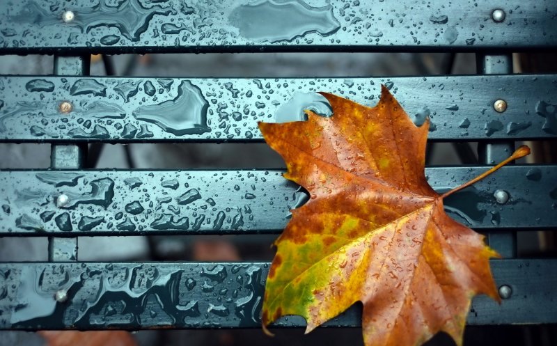 Prognoza meteo pentru următoarele două săptămâni: probabilitatea de ploi se menţine ridicată