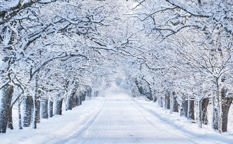 Prognoză nouă de la meteorologi. Vremea se răceşte accentuat şi vin ninsorile