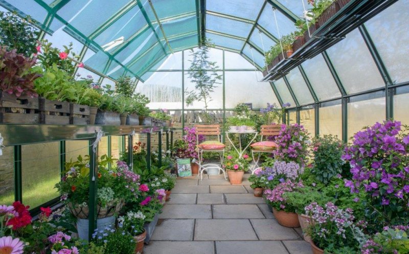 Sera de gradina – Mediul ideal pentru plantele si florile tale!
