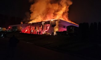 Incendiu puternic în Parcul Tetarom din Cluj-Napoca! Pompierii intervin cu 5 autospeciale. Au cerut ajutor în Alba și Sălaj