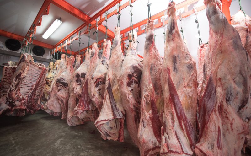 Producătorii de carne de porc din România: De abia supraviețuim cu prețul la care vindem acum