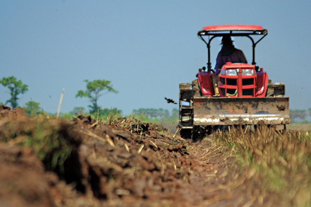 Înainte de sărbători peste 720.000 de fermieri au primit circa 650 mil. lei de la APIA