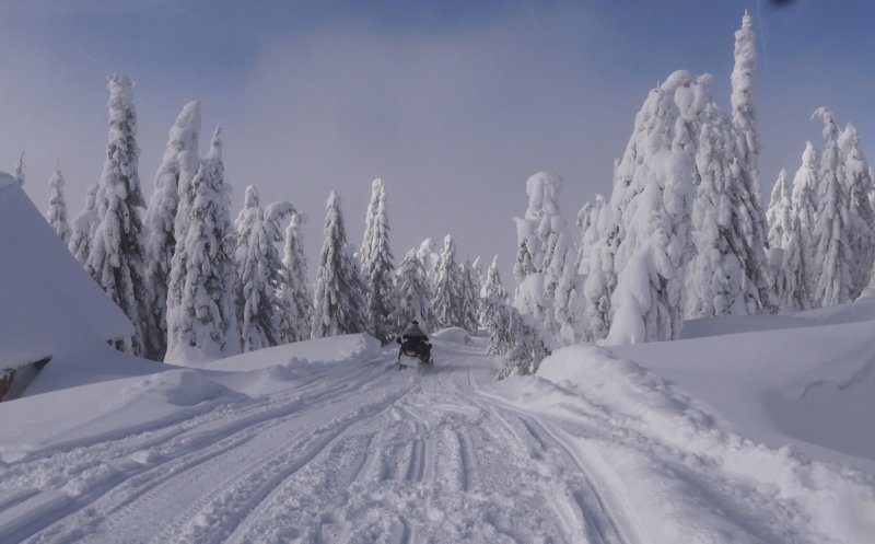 La munte a venit iarna, este frig și ninge de ore bune. Unde poți schia weekendul ăsta