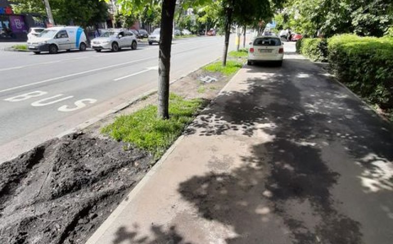 Parcări desființate, parkinguri doar pe foaie! Primăria pune stâlpișori pe Titulescu, pentru ca mașinile să nu mai distrugă spațiile verzi de pe trotuare