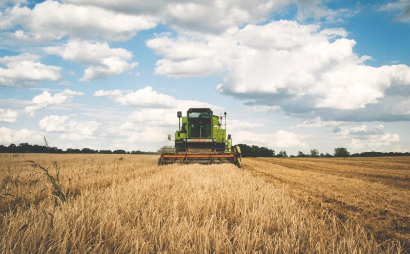 Cum afectează iarna blândă din Europa economia. Binecuvântare pentru sectorul energetic, blestem pentru agricultură