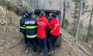 Un bărbat A MURIT în timp ce tăia un copac. O creangă l-a accidentat mortal