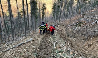 Un bărbat A MURIT în timp ce tăia un copac. O creangă l-a accidentat mortal