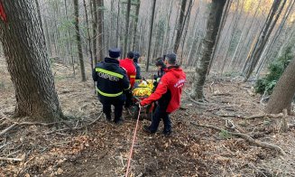 Un bărbat A MURIT în timp ce tăia un copac. O creangă l-a accidentat mortal