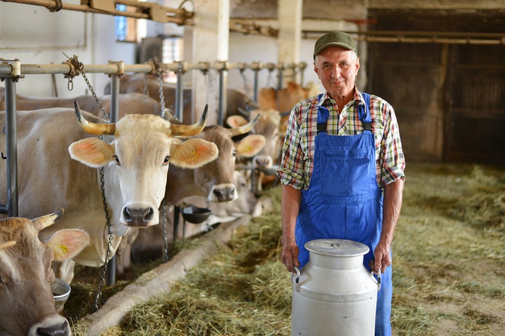 UE ajută crescătorii de bovine cu 44 mil. euro. Cât poate primi fiecare beneficiar
