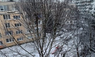 Prima NINSOARE la Cluj-Napoca din iarna aceasta!