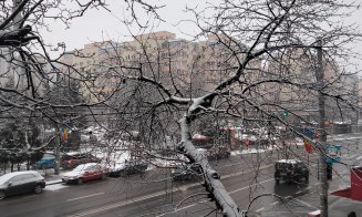 Prima NINSOARE la Cluj-Napoca din iarna aceasta!