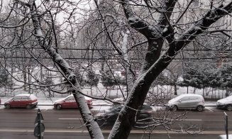 Prima NINSOARE la Cluj-Napoca din iarna aceasta!