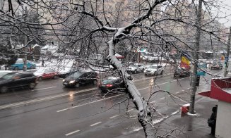 Prima NINSOARE la Cluj-Napoca din iarna aceasta!