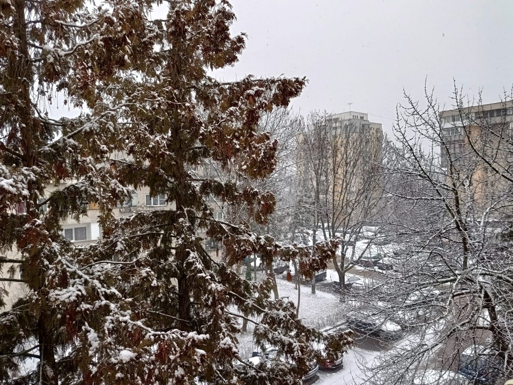 Prima NINSOARE la Cluj-Napoca din iarna aceasta!