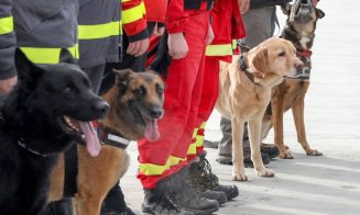 Câinii eroi din România care au plecat în Turcia să salveze victime prinse sub dărâmături după cutremur