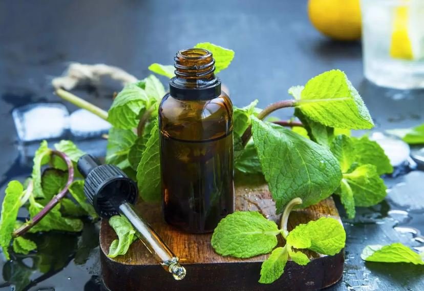 Planta VINDECĂTOARE care înhibă cancerul, ajută memoria și ușurează digestia