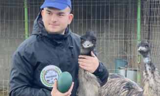 Ou vândut cu 150 de lei de un student la Cluj. Tânărul livrează și peste ocean