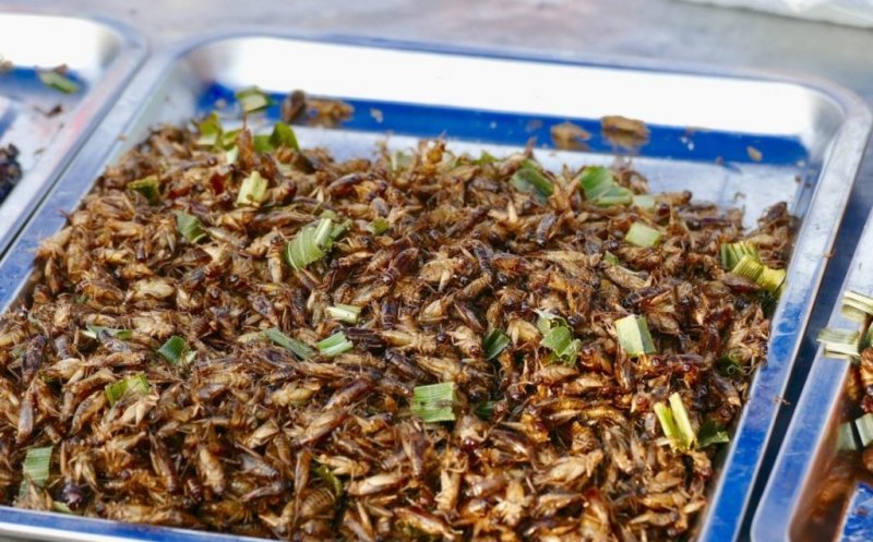 Daea: "Trebuie să păstrăm patrimoniul gastronomic al României. Nu ne plac greierii și lăcustele. Să fim serioşi, ca să faci o pâine îţi trebuie un vagon"