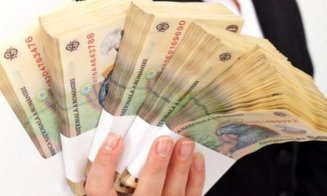 Proiectul privind pensiile speciale, amânare două săptămâni