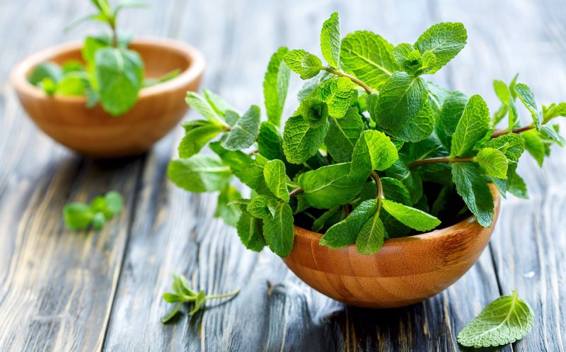 Frunzele care sunt un miracol pentru sănătate. 10 beneficii într-o plantă ce creşte în grădină