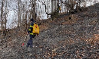 Pompierii se luptă de aproape o zi cu un incendiu care a păgubit 6 hectare