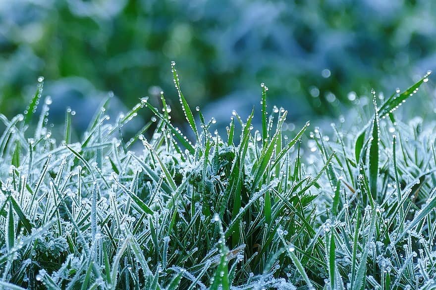 Prognoza meteo pe două săptămâni. Se întoarce iarna?