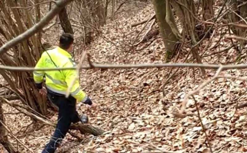 Tânăr dat dispărut de 2 zile, găsit MORT într-o pădure din Cluj