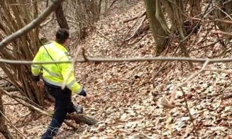 Tânăr dat dispărut de 2 zile, găsit MORT într-o pădure din Cluj
