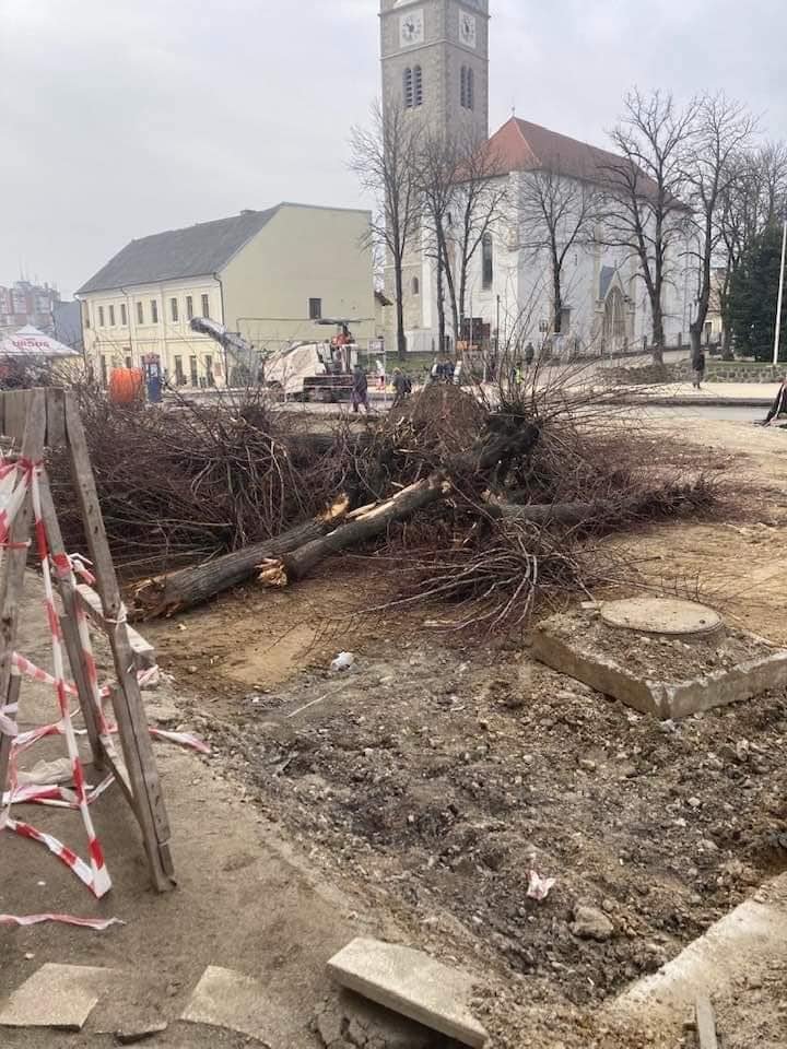 Pe modelul Clujului, și la Turda sunt "evacuaţi" copacii din centru pentru a face loc betoanelor