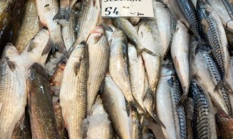 Dezlegare la pește. Directorul ANCP: Nu cumpărați dacă aveți îndoieli/ Cum te asiguri că peștele este proaspăt