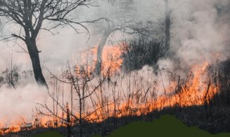 Atenție la incendiile de vegetație! Peste 900 de intervenții ale pompierilor clujeni anul trecut/ Amenzile sunt uriașe
