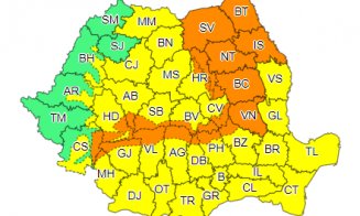 Vreme deosebit de rece, ninsori şi vânt, până sâmbătă dimineaţă