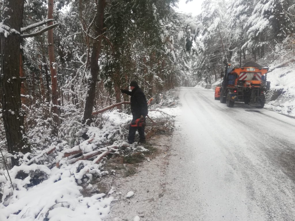 Iarna nu se lasă dusă de la Cluj! Un nou copac căzut pe un drum în zona de munte a județului