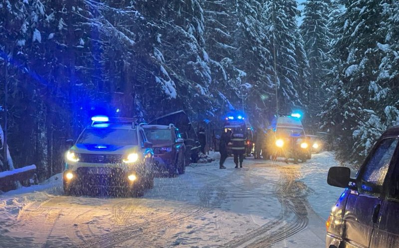 Accident într-o comună din Cluj. O mașină a căzut între copaci și trei bărbați au ajuns la spital