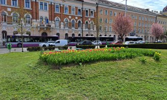 Autobuze publice, pe 3 linii din cartierele principale ale Clujului, în NOAPTEA DE ÎNVIERE