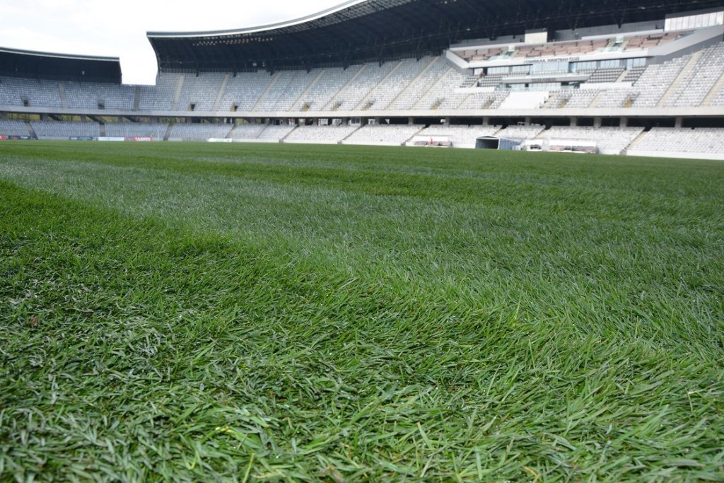 Tișe, despre noul gazon de pe Cluj Arena: „Nu voi mai permite să se joace fotbal pe teren pe care să crești orez” / Ce a spus de UNTOLD
