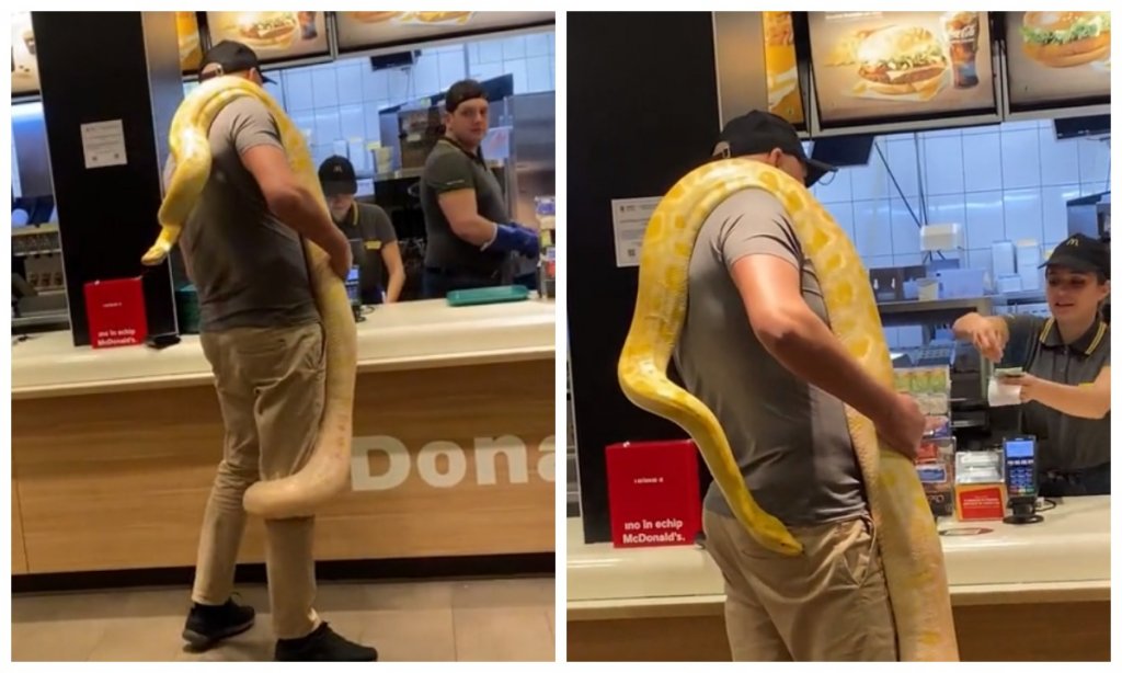 Scene incredibile. S-a dus la fast-food cu un șarpe gigantic la gât / „Nu mai stă nimeni la coadă acum”