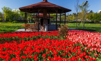Două locuri de picnic, pregătite pentru clujeni de 1 Mai. Boc: "Grătar încins!"