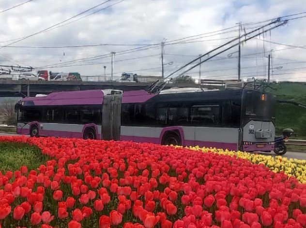 Suplimentare pe 11 linii de transport din oraș. CTP Cluj-Napoca: "Se dă startul sezonului estival"