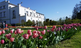 Paradisul lalelelor la Gradina Botanică din Cluj-Napoca. Program nou de 1 mai
