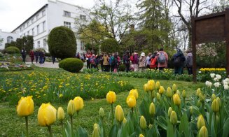 Paradisul lalelelor la Gradina Botanică din Cluj-Napoca. Program nou de 1 mai
