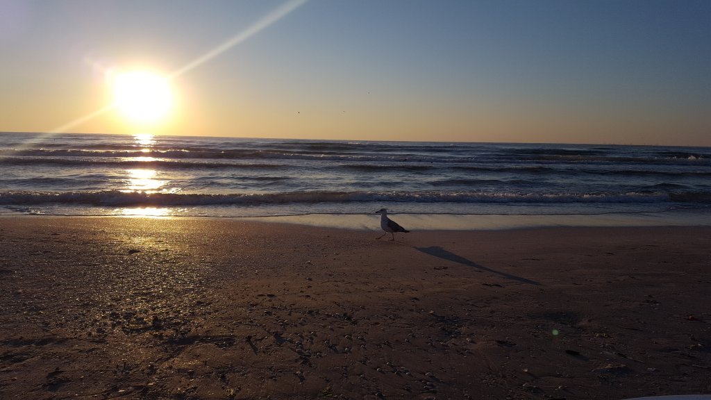 A început "Litoralul pentru Toți"! Cât costă o noapte de cazare la mare