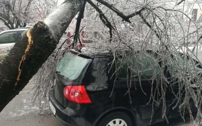 Furtuna a lăsat dezastru în urma ei. Mai multe mașini din Cluj-Napoca au fost distruse de copaci