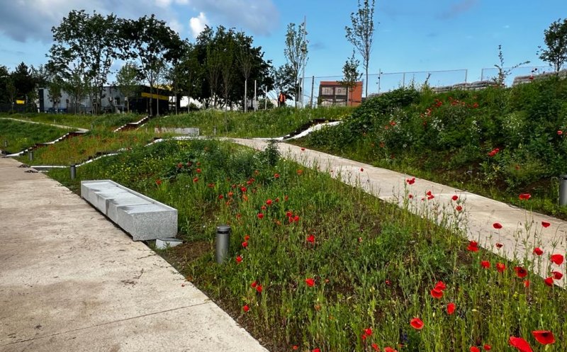 Verde în parcurile Armătura și Feroviarilor