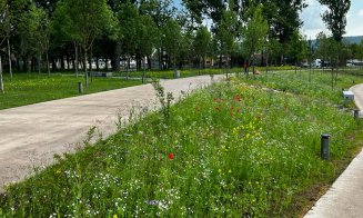 Verde în parcurile Armătura și Feroviarilor